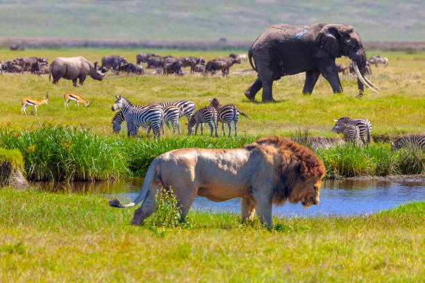 serengeti-national-park-1